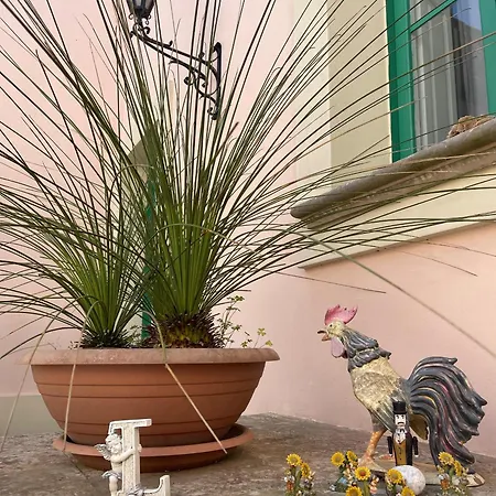 La Corte Di Zia Lucia - Vicino Ospedale Panico